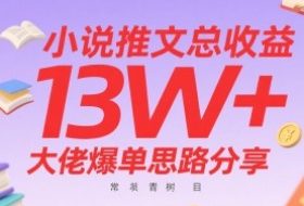 小说推文总收益13W+大佬爆单思路分享，常青树项目