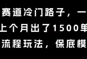 中老年赛道冷门路子，一单788，上个月出了1500单，全流程玩法，保底模式【揭秘】