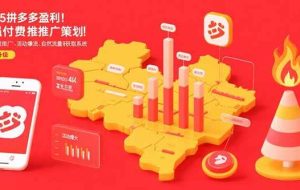 （15509期）2025拼多多盈利地图：强付费推广策略/活动爆流/自然流量获取系统(7月更新)