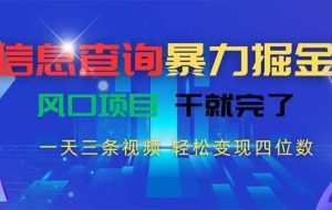 （15516期）信息查询暴力掘金，一天三条视频 轻松变现四位数，风口项目干就完了