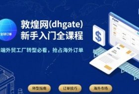 敦煌网(dhgate)新手入门全课程，B端外贸工厂转型必看，抢占海外订单