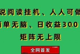 小说挂G阅读，人人可做，简单无脑，一天收益3张+矩阵无限上，全网首发【揭秘】