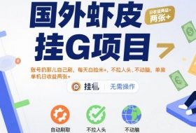 国外虾皮挂G项目：账号扔那儿自己刷，每天白捡米+，不拉人头、不动脑，单机日收益两张+【揭秘】