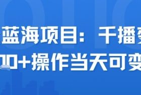 小众蓝海项目，千播变现2.5k+操作当天可变现