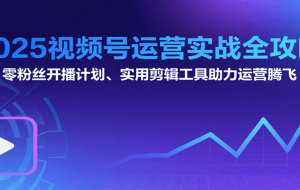 2025视频号运营实战全攻略：零粉丝开播计划、起号到到变现思维逻辑方法