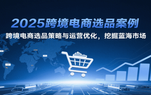 2025跨境电商选品案例，跨境电商选品策略与运营优化，挖掘蓝海市场