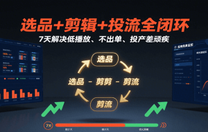 选品+剪辑+投流全闭环，7天解决低播放、不出单、投产差顽疾