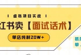 小红书虚拟项目掘金，卖面试话术资料，单店纯利20W+(附爆款笔记制作方法)