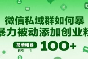 微信私域群如何暴力被动添加创业粉，简单粗暴，日引100+