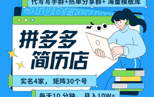 拼多多电商 拼多多 虚拟资料 简历 海报代写 全SOP流程 毫无保留分享（含后端资料）