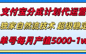支付宝分成计划代运营，独家自然流技术，收益稳定，单号月产5000＋