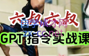 六叔的AI指令实战课（更新7月）