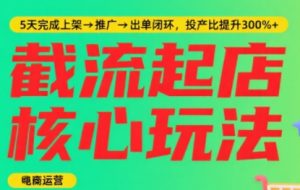 淘宝截流快速起店玩法，掌握暴力快速起店的流程