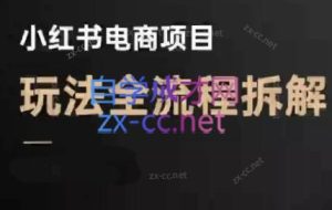 菲菲老师·小红书电商玩法（更新7月）