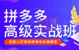 美迪创客·拼多多高级实战班+开店推广班（更新7月）