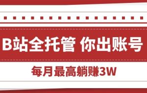 （15547期）【B站全程托管 】你出账号，我来运营，每月最高躺赚3W