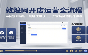 敦煌网开店运营全流程：平台规则解析、店铺注册认证、卖家后台功能详解等