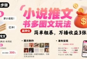 小说推文小红书多图文玩法，简单粗暴，万播收益3张