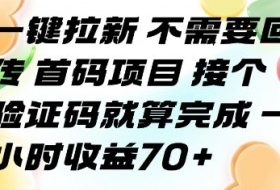 一键拉新 不需要回传 首码项目 接个验证码就算完成 一小时收益70+【揭秘】