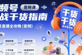 视频号实战干货指南，视频号直播全攻略（音频）