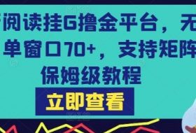 最新阅读挂G撸金平台，无风控，单窗口70+，支持矩阵，保姆级教程【揭秘】