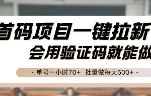首码项目一键拉新，会用验证码就能做 单号一小时70+，批量做每天500+