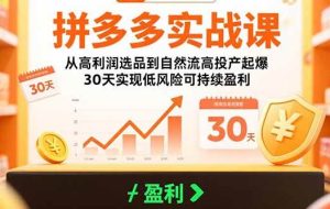 （15586期）拼多多实战课：从高利润选品到自然流高投产起爆 30天实现低风险可持续盈利