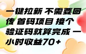 （15588期）一键拉新 不需要回传 首码项目 接个验证码就算完成 一小时收益70+