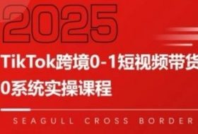 TikTok跨境0-1短视频带货，系统拆解TikTok跨境带货全链路，实现跨境可持续盈利