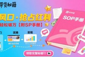 B站哔哩哔哩带货秘籍，新风口，抢占红利，单月轻松破万【附SOP手册】