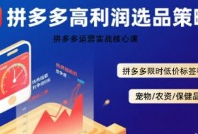 拼多多选品暴利技术实战课，拼多多高利润选品策略，拼多多限时低价标签秘诀