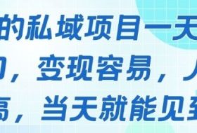 好做的私域项目一天变现1k+，变现容易，人群占比高，当天就能见到钱