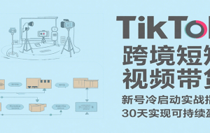TikTok跨境短视频带货，30天攻克新号冷启动、0-1实现跨境可持续盈利