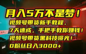 （15595期）月入5万不是梦！视频号带货新手教程，7天速成，手把手教你赚钱！视频号…