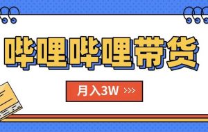 （15597期）B站哔哩哔哩带货秘籍，新风口，抢占红利，单月轻松破万【附SOP手册】