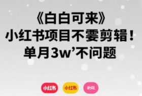 小白可来 小红书项目不需要剪辑 单月3w不是问题