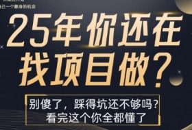 25年，你还在疯狂的找项目吗？别傻了，看完这个你都懂了【揭秘】