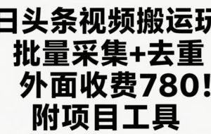 今日头条视频搬运玩法，软件一键去重，轻松日入500+附项目工具