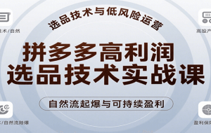 拼多多高利润选品技术实战课，手把手教学自然流高投产起爆，实现低风险可持续盈利