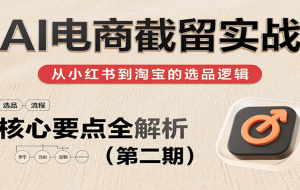 AI电商截留实战，小红书、淘宝等电商平台选品思路及核心要点（第二期）