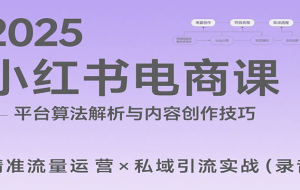 2025小红书电商课：解析算法，创作高转化内容，助力卖家获取流量实现变现（录音）