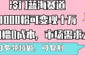 冷门蓝海赛道，1000粉可变现十W，无门槛0成本，市场需求大，可多领域做，可复制性强
