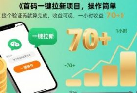 首码一键拉新项目，操作简单，接个验证码就算完成，收益可观， 一小时收益70+【揭秘】