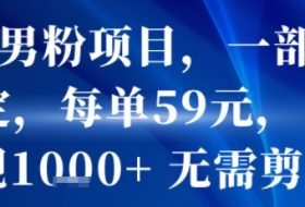 抖音男粉项目，一部手机搞定，每单59米，当天变现1k+  无需剪辑