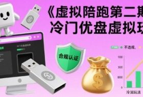 虚拟陪跑第二期，冷门优盘虚拟玩法，不违规，利润可观