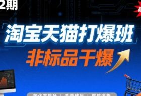 淘宝天猫打爆班原创高阶技术第72期，非标品干爆