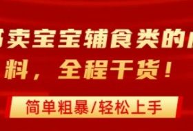 小红书卖宝宝辅食类的虚拟资料，从引流到私域变现，全程干货，简单粗暴，轻松上手