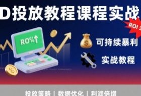 AD投放教程课程实战课，实现广告ROI300%+可持续暴利