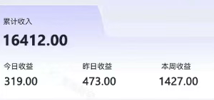 零撸项目爆款玩法，简单易上手有人靠着这个一天收入300+，一条视频直接赚了1600+