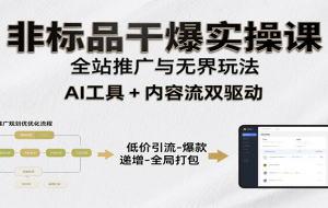 非标品干爆实操课：含多案例及操盘方法，从选品到推广、成交，助力打造爆款实现盈利